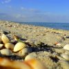 tunisian beach hergla